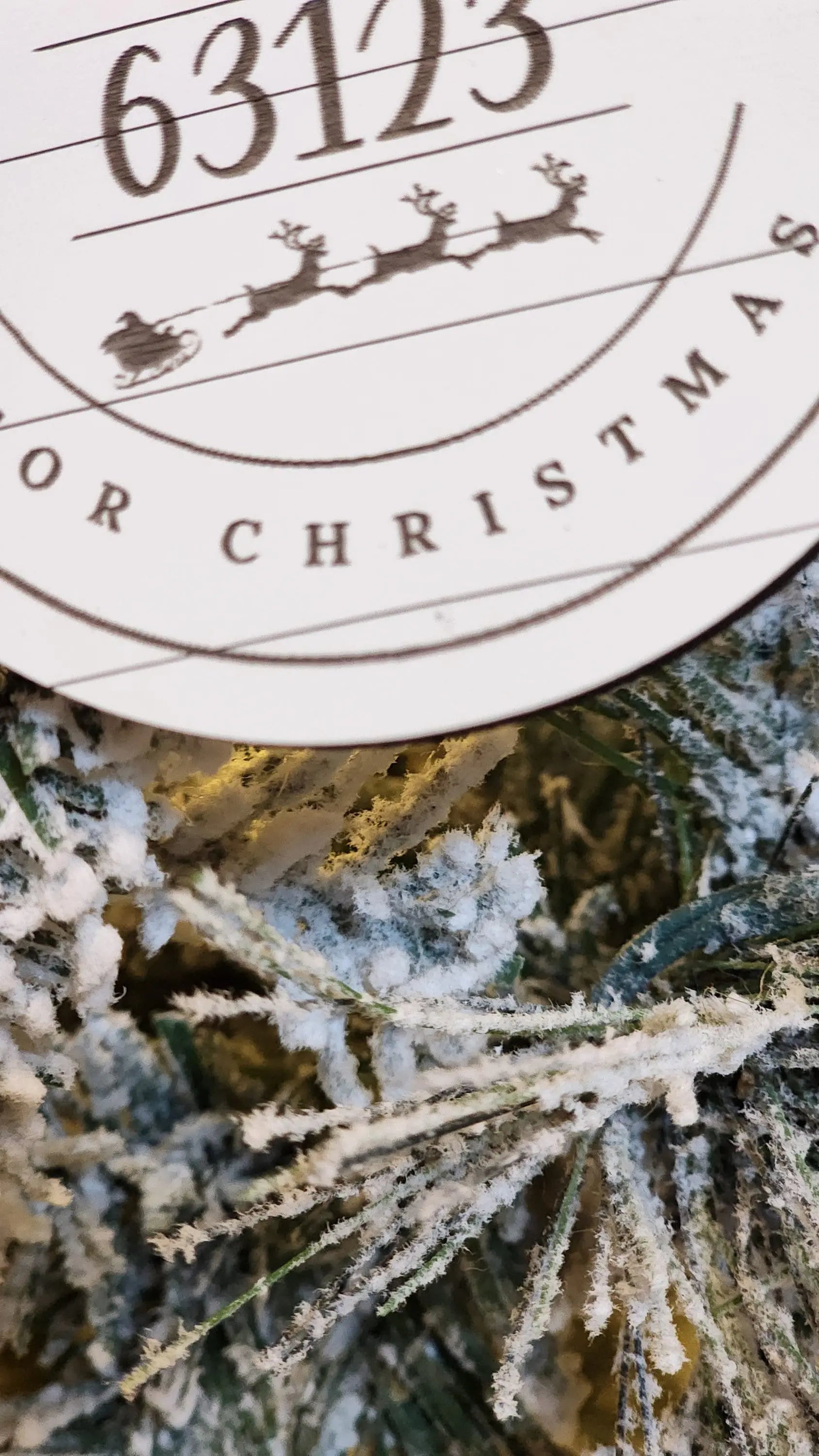 There's No Place Like Home Zip Code | Custom Ornament Woodsy What Knots